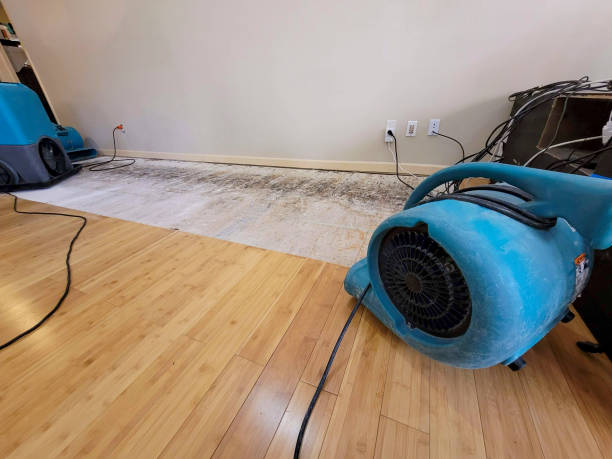 Professional Basement Flood Cleanup technician working in Bahama, NC
